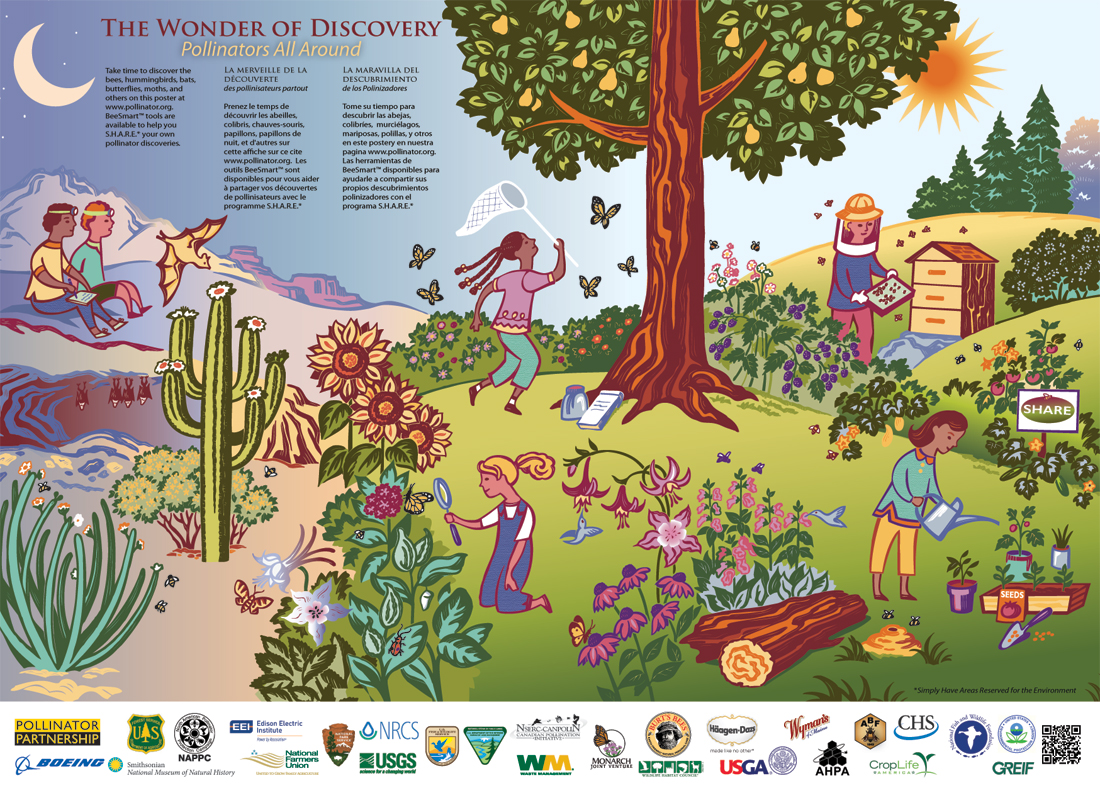 2013 Pollinator poster
