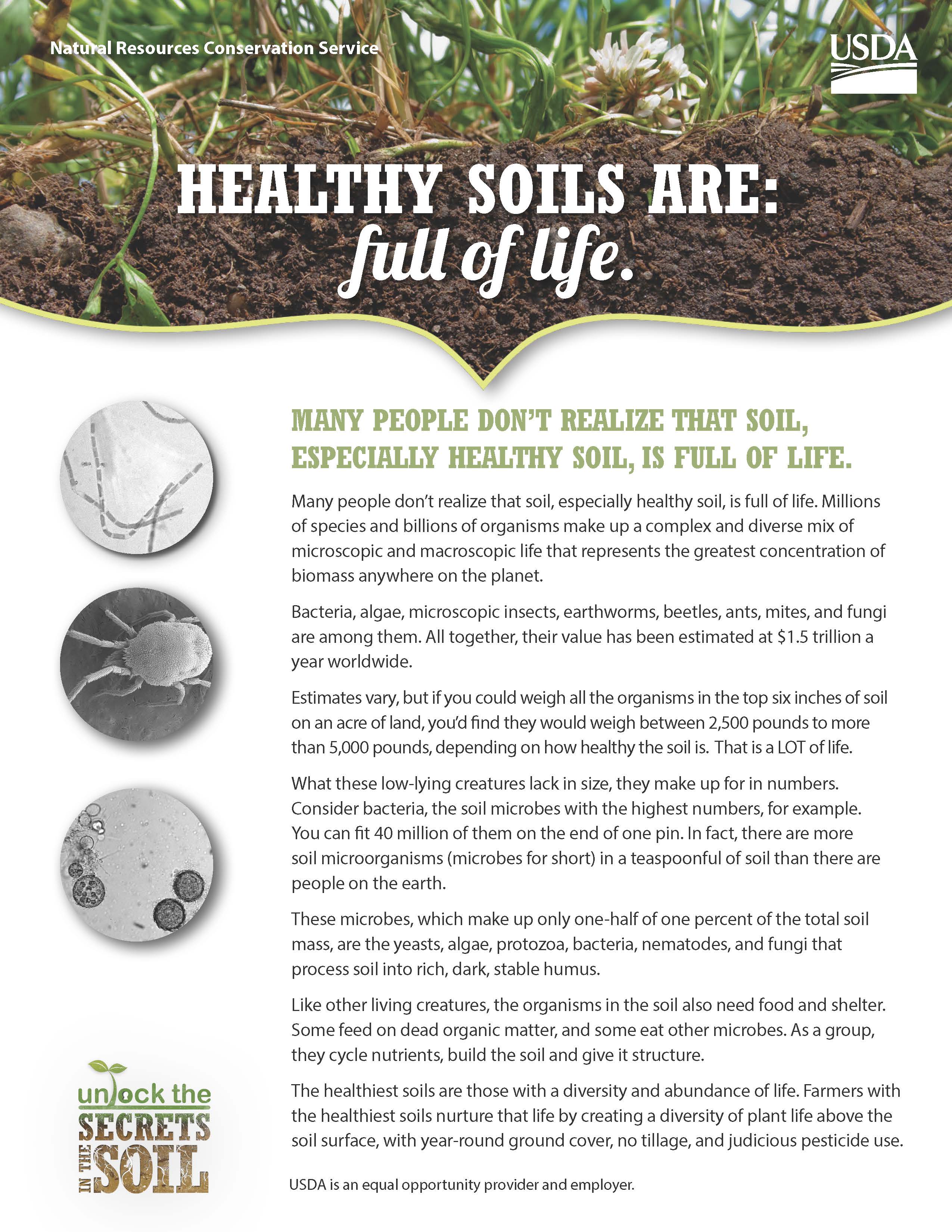 Healthy Soils Are: full of life
