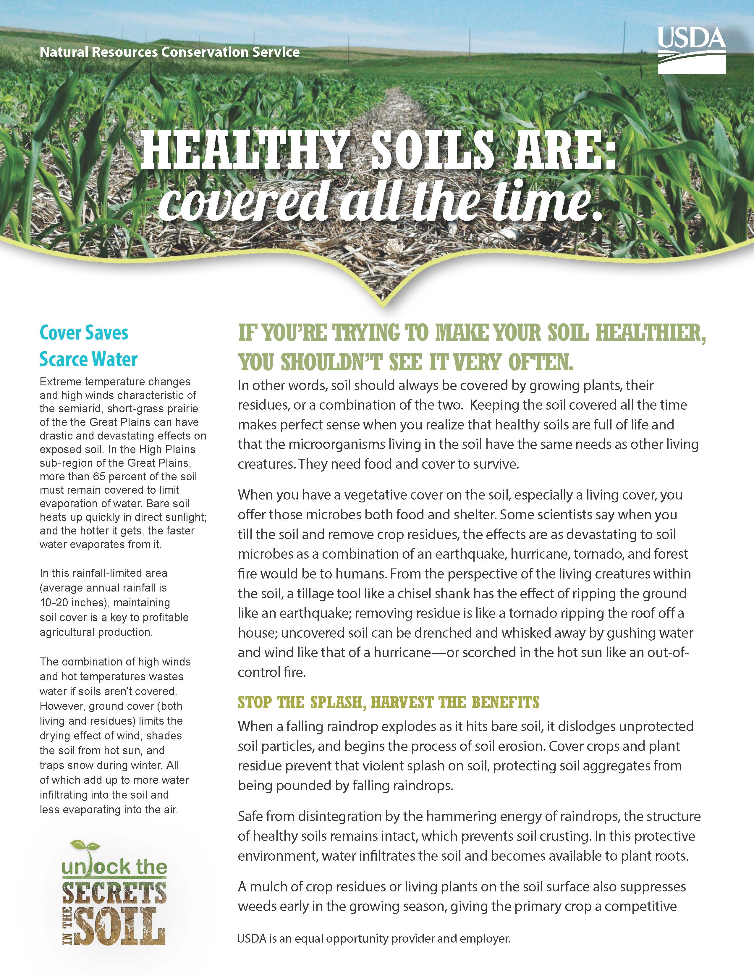 Healthy Soils Are: covered all the time