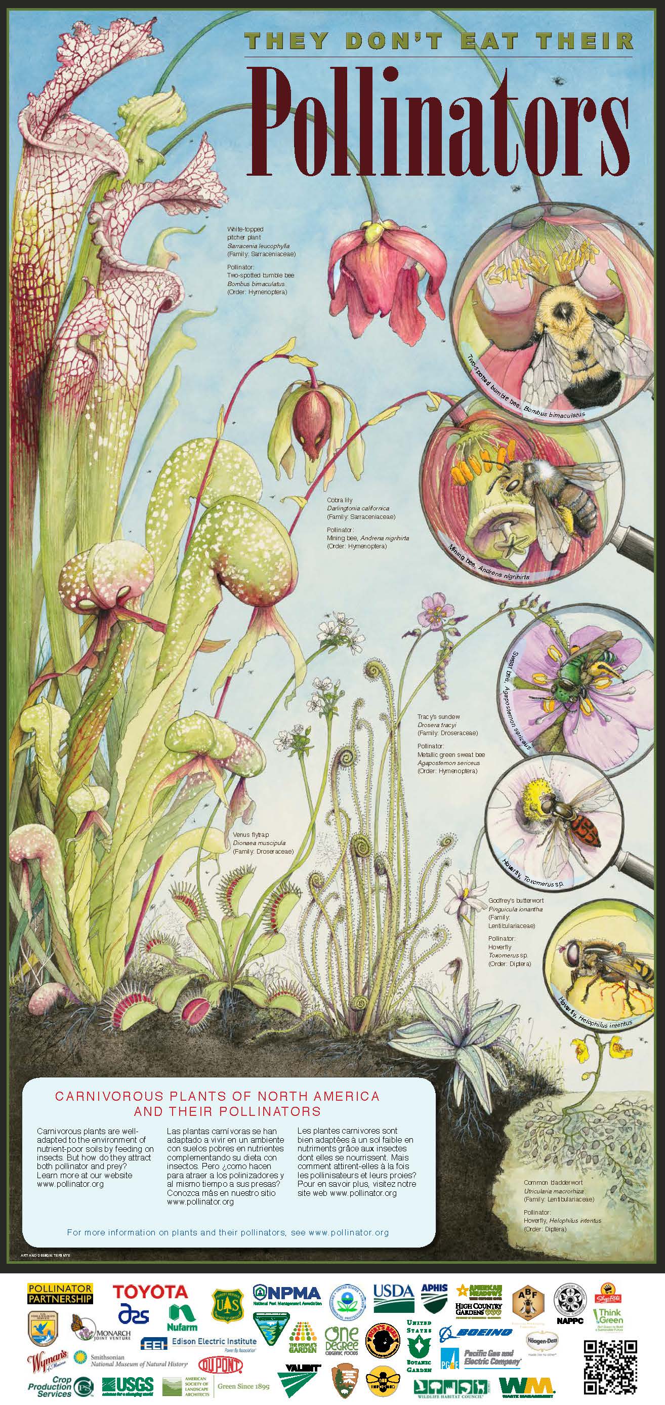 2015 Pollinator poster