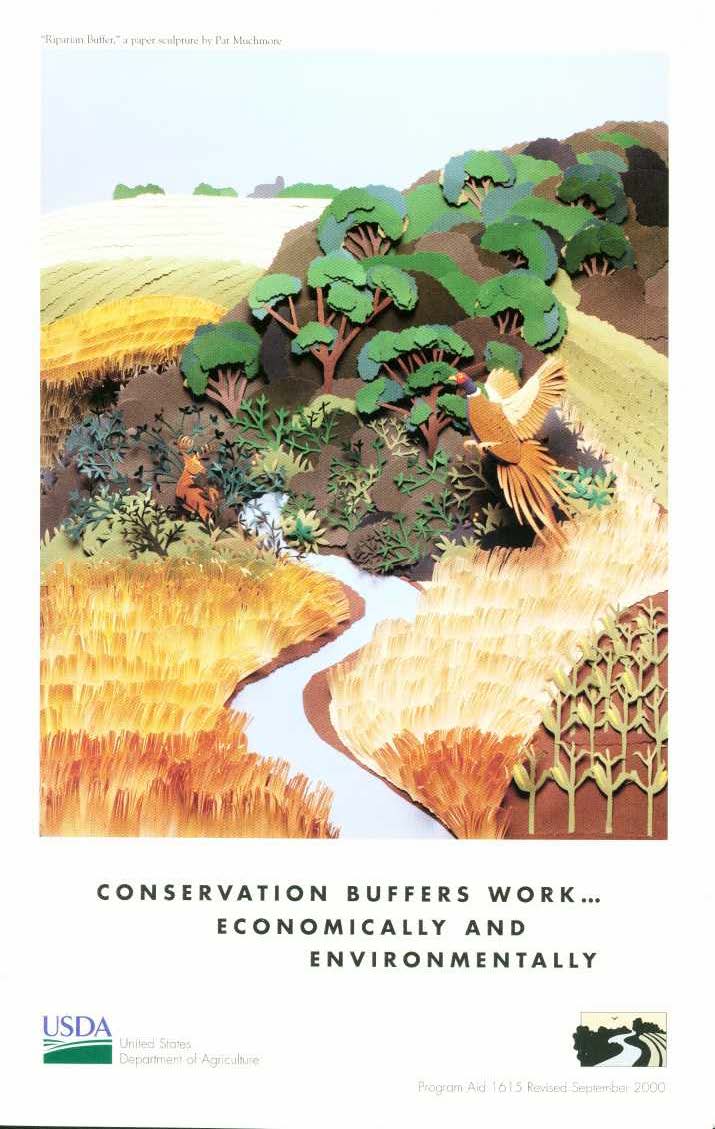 Buffers-Conservation Buffers Work Economically