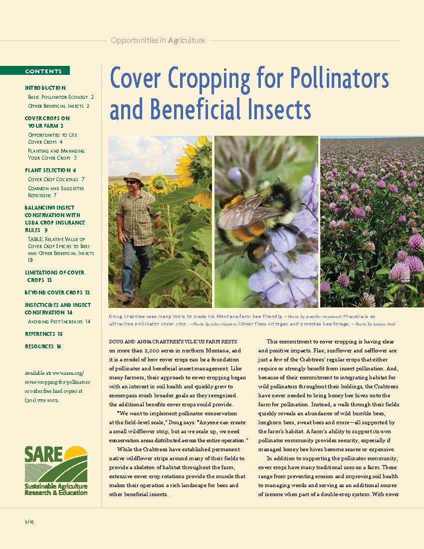 Cover Cropping for Pollinators and Beneficial Insects