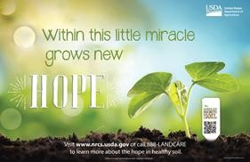 Soil Health poster- Within this little miracle grows new hope