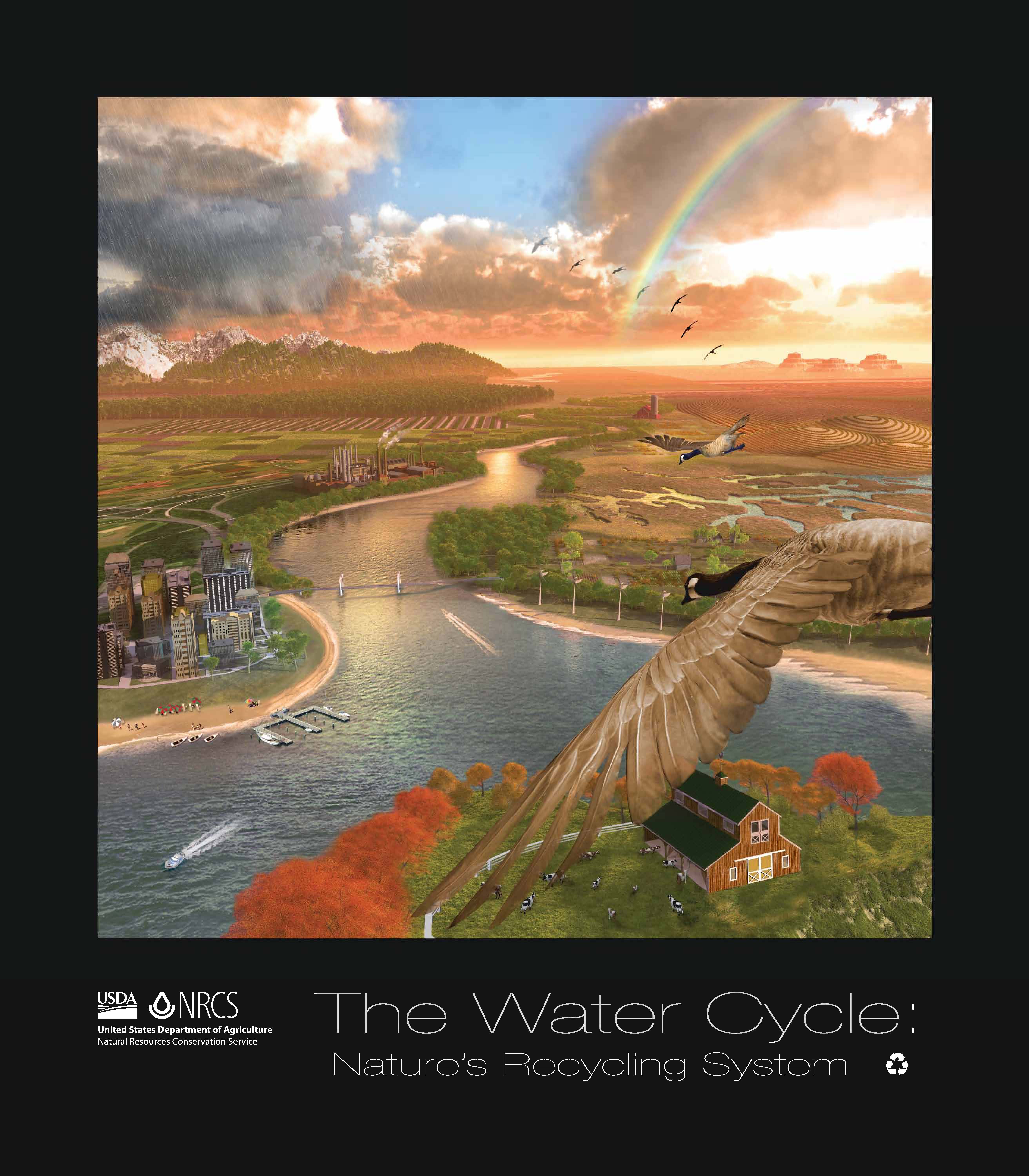Water Cycle poster