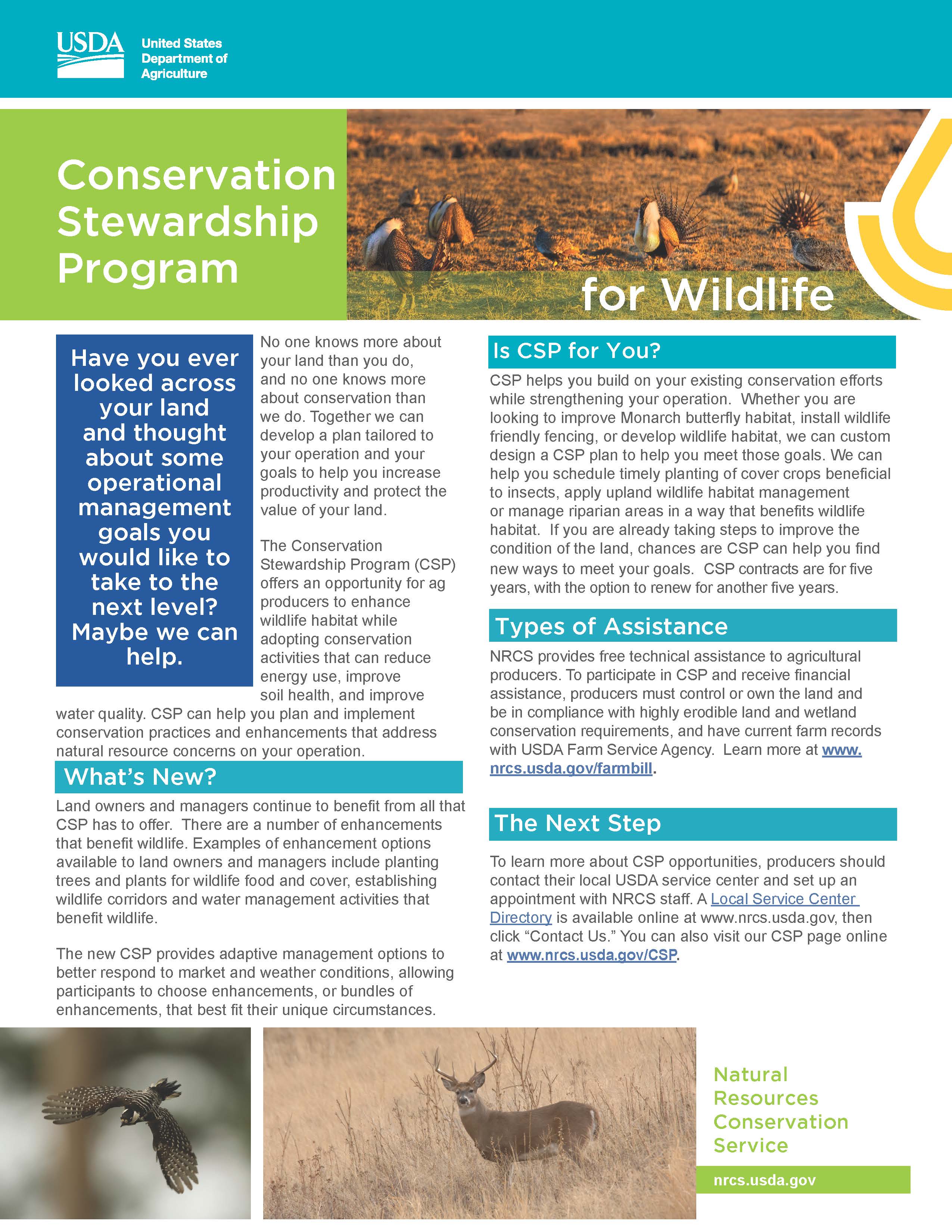 NRCS Publications - Item Detail