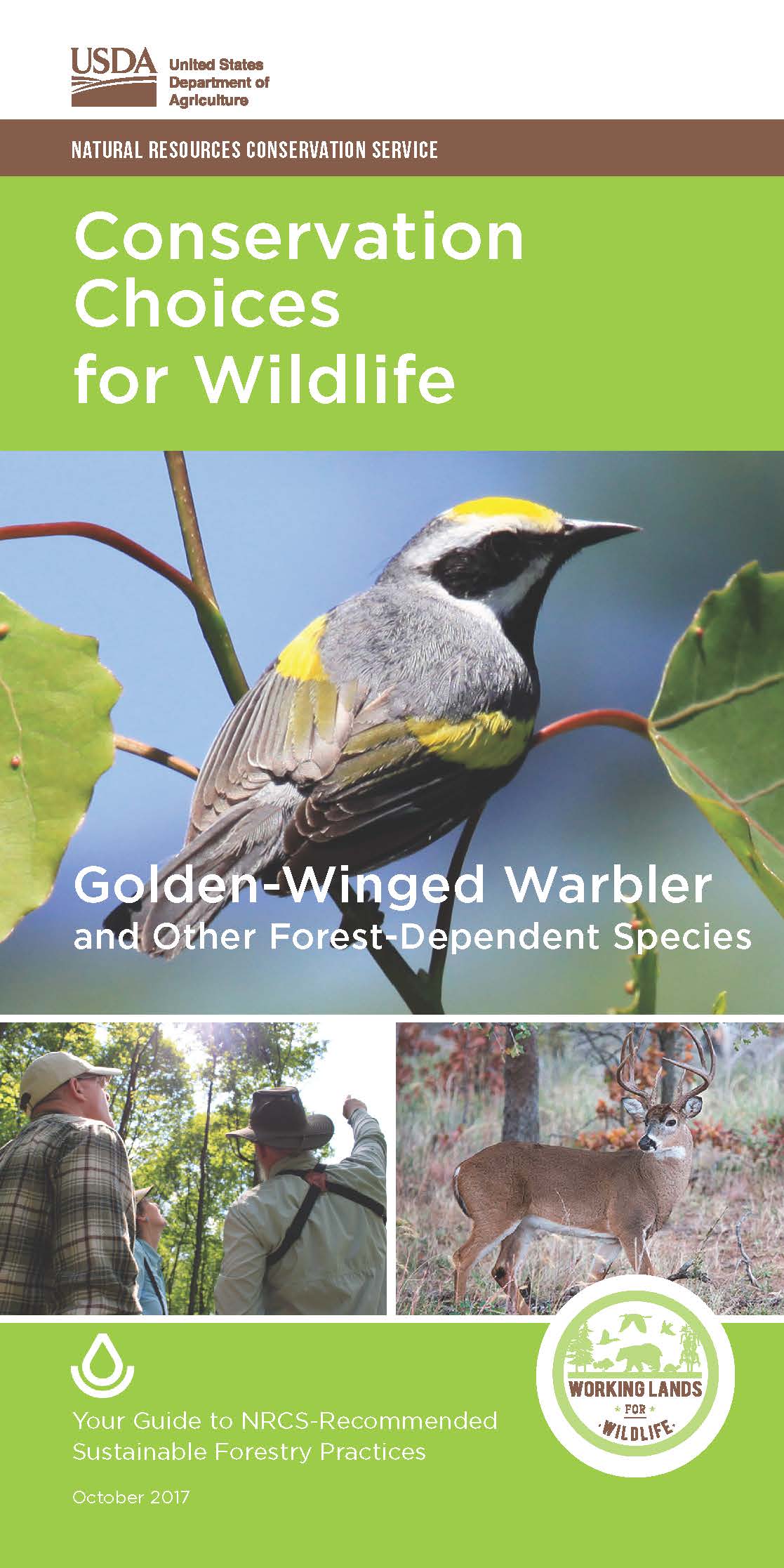 Conservation Choices for Wildlife-Golden-Winged Warbler