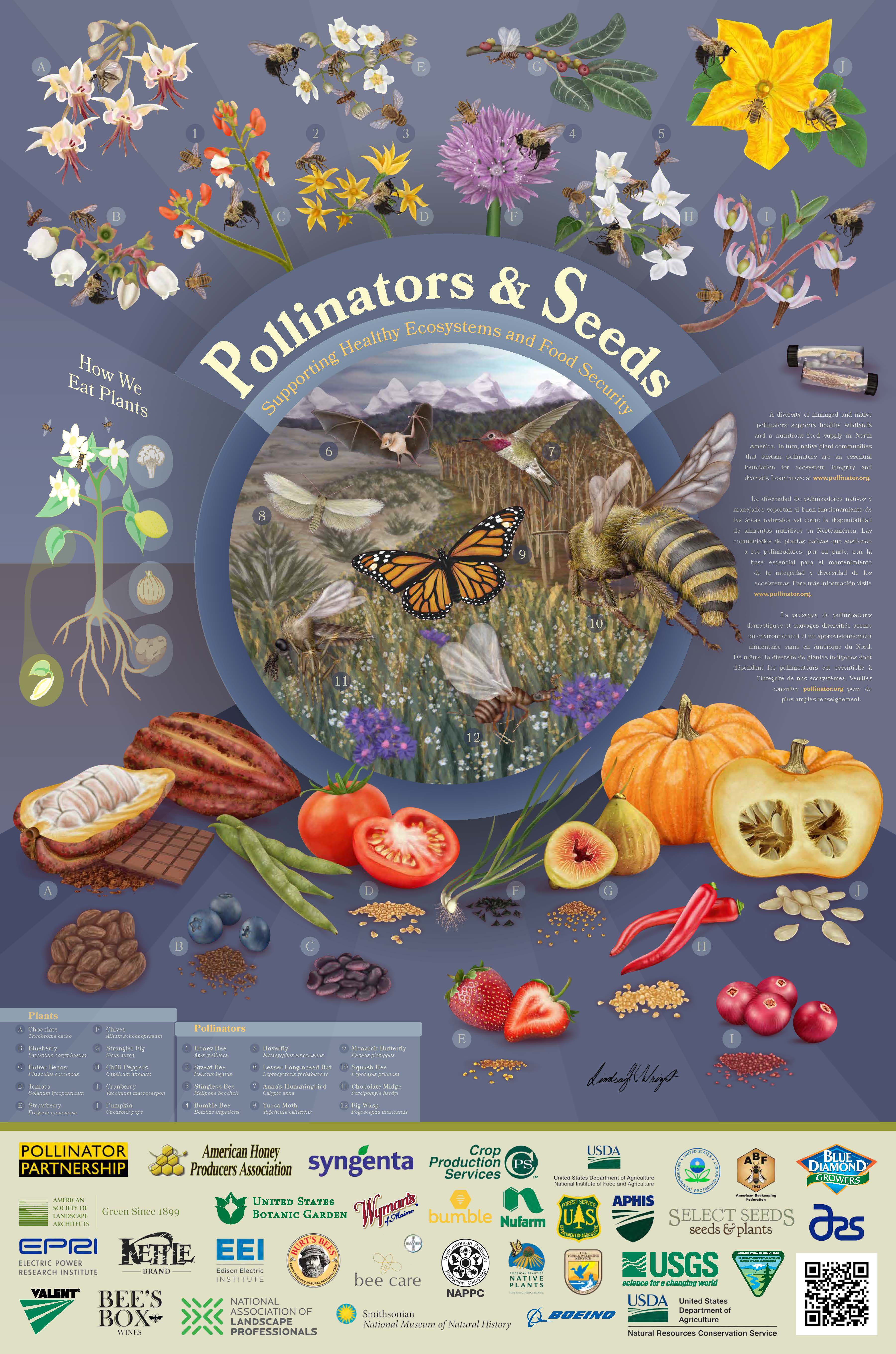 2018 Pollinator poster