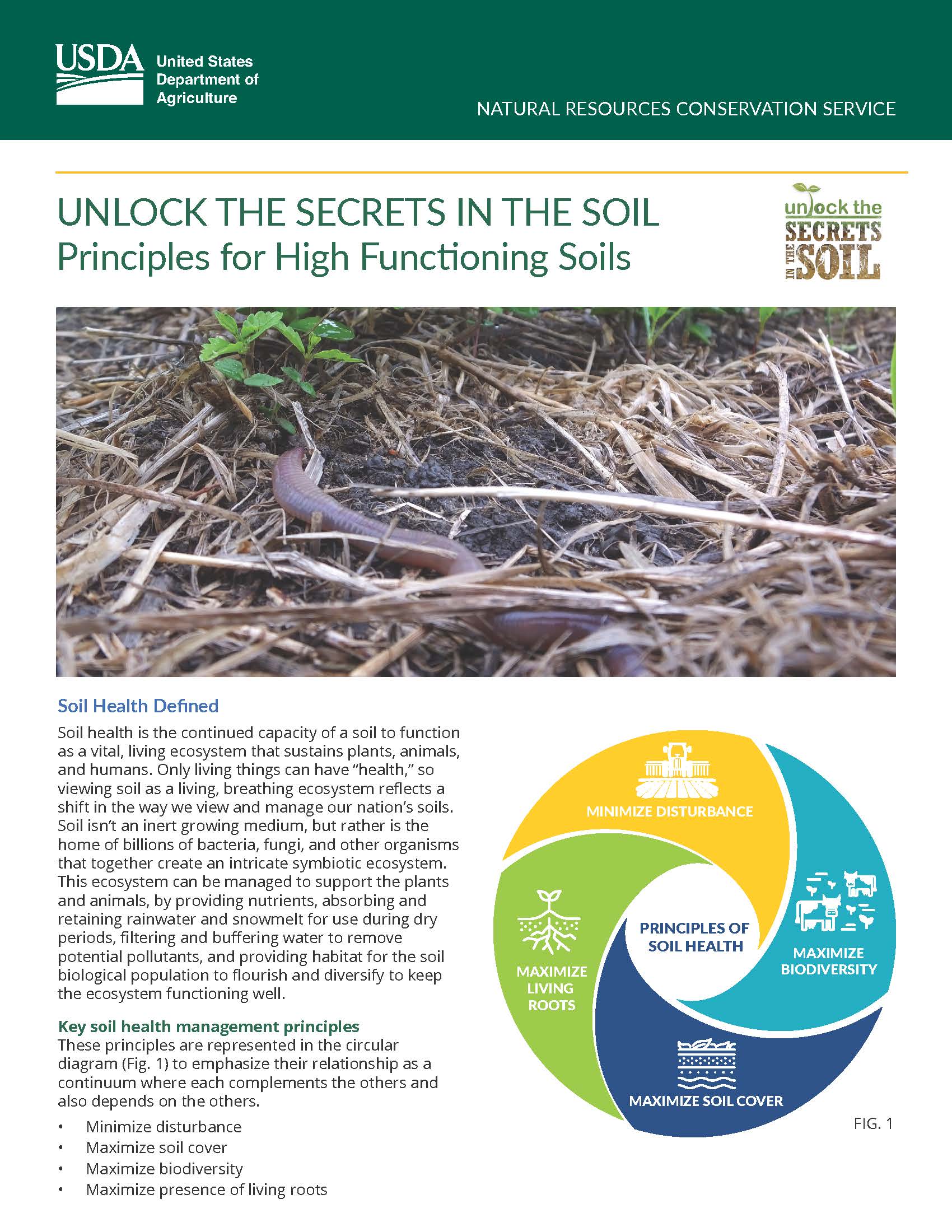 Soil Health Principles for High Functioning Soils fact sheet