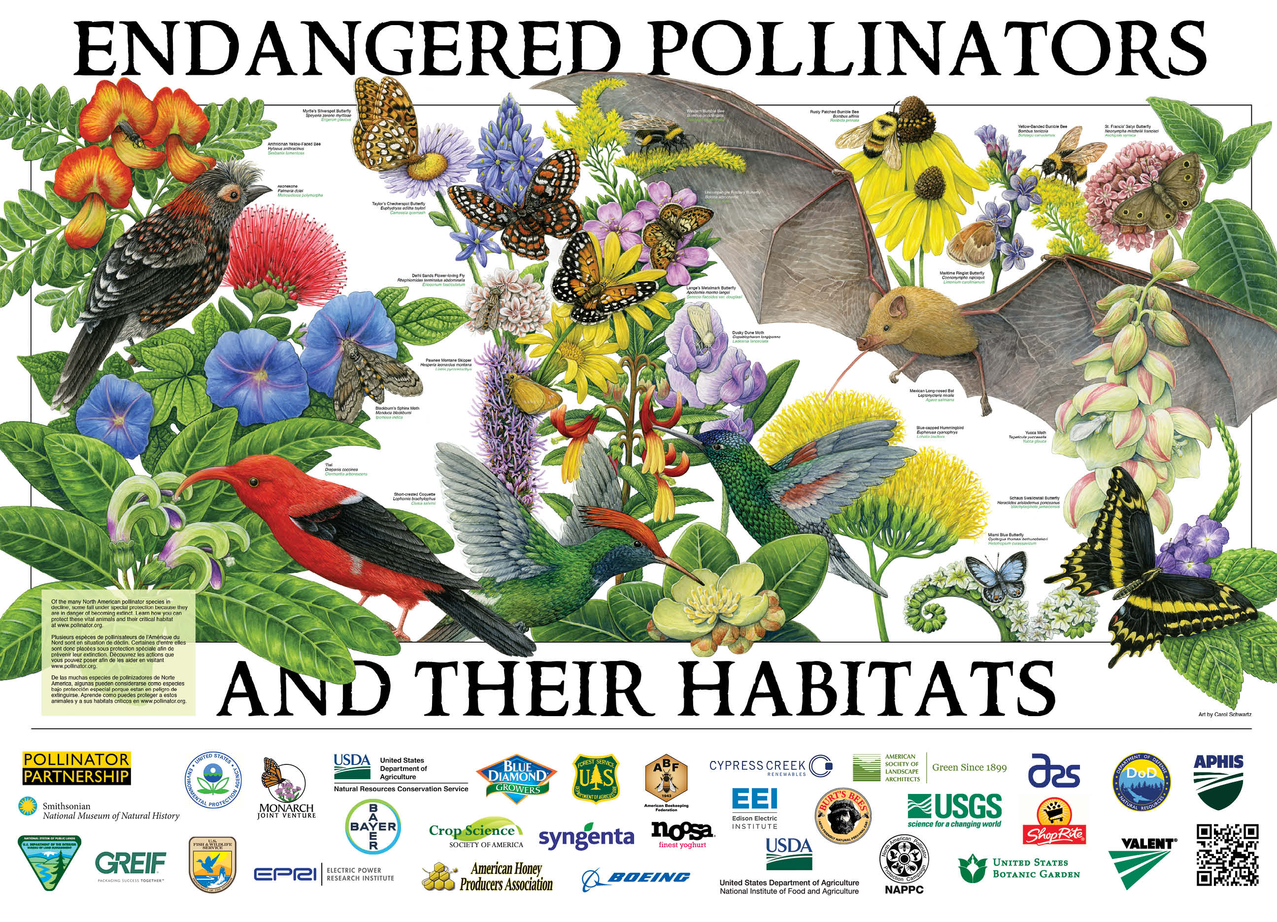 2019 Pollinator poster