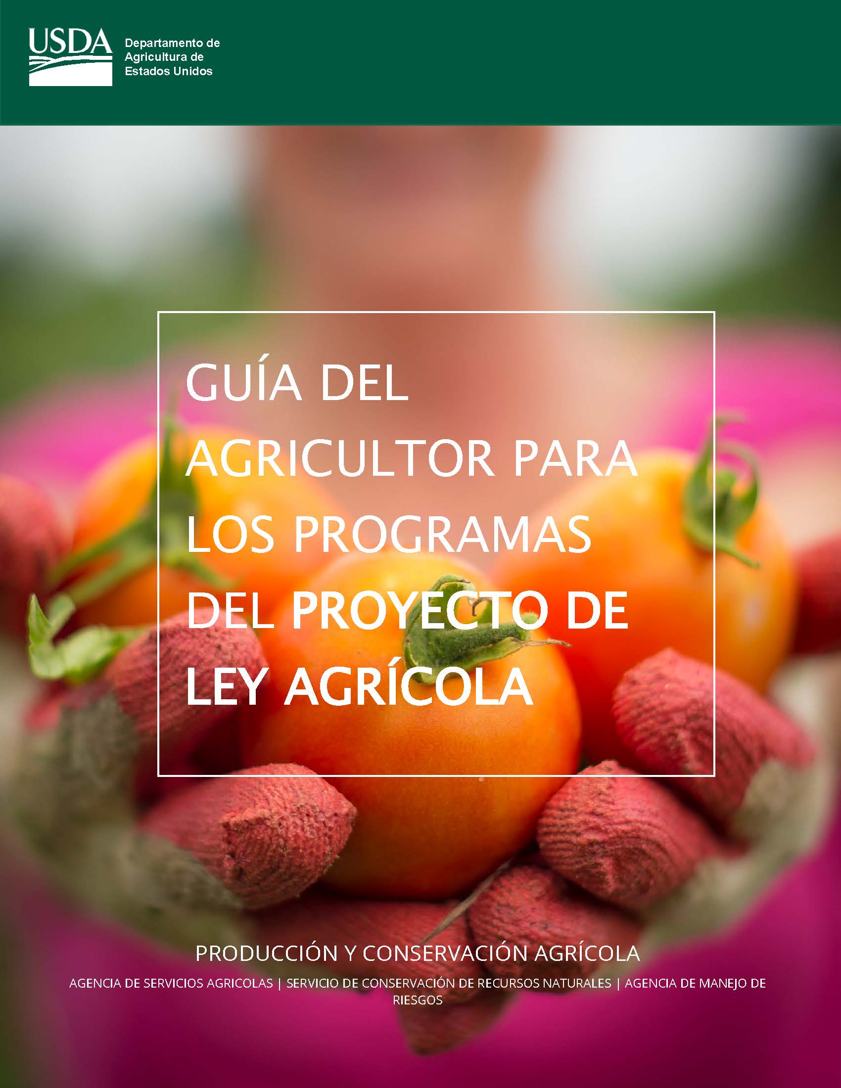 2018 Farm Bill brochure-Spanish
