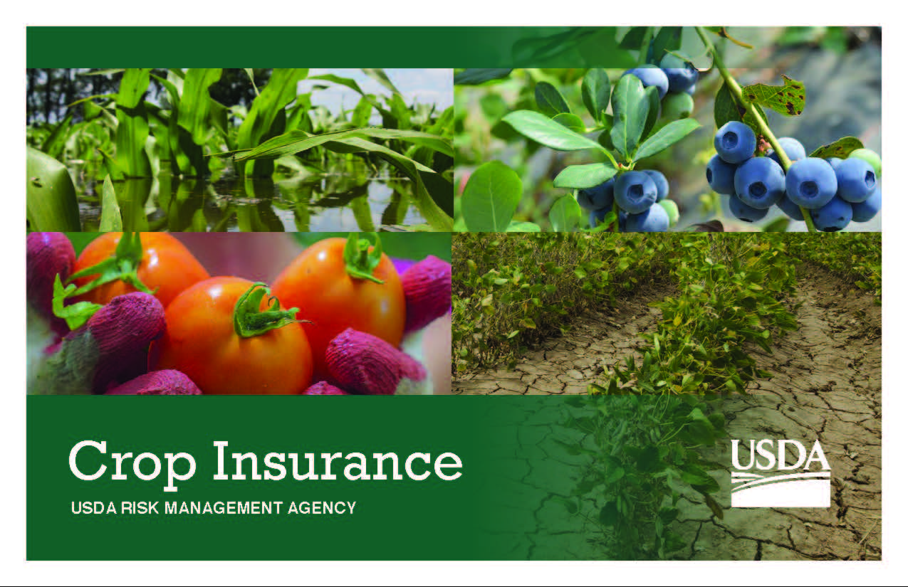 RMA-Crop Insurance postcard (border)