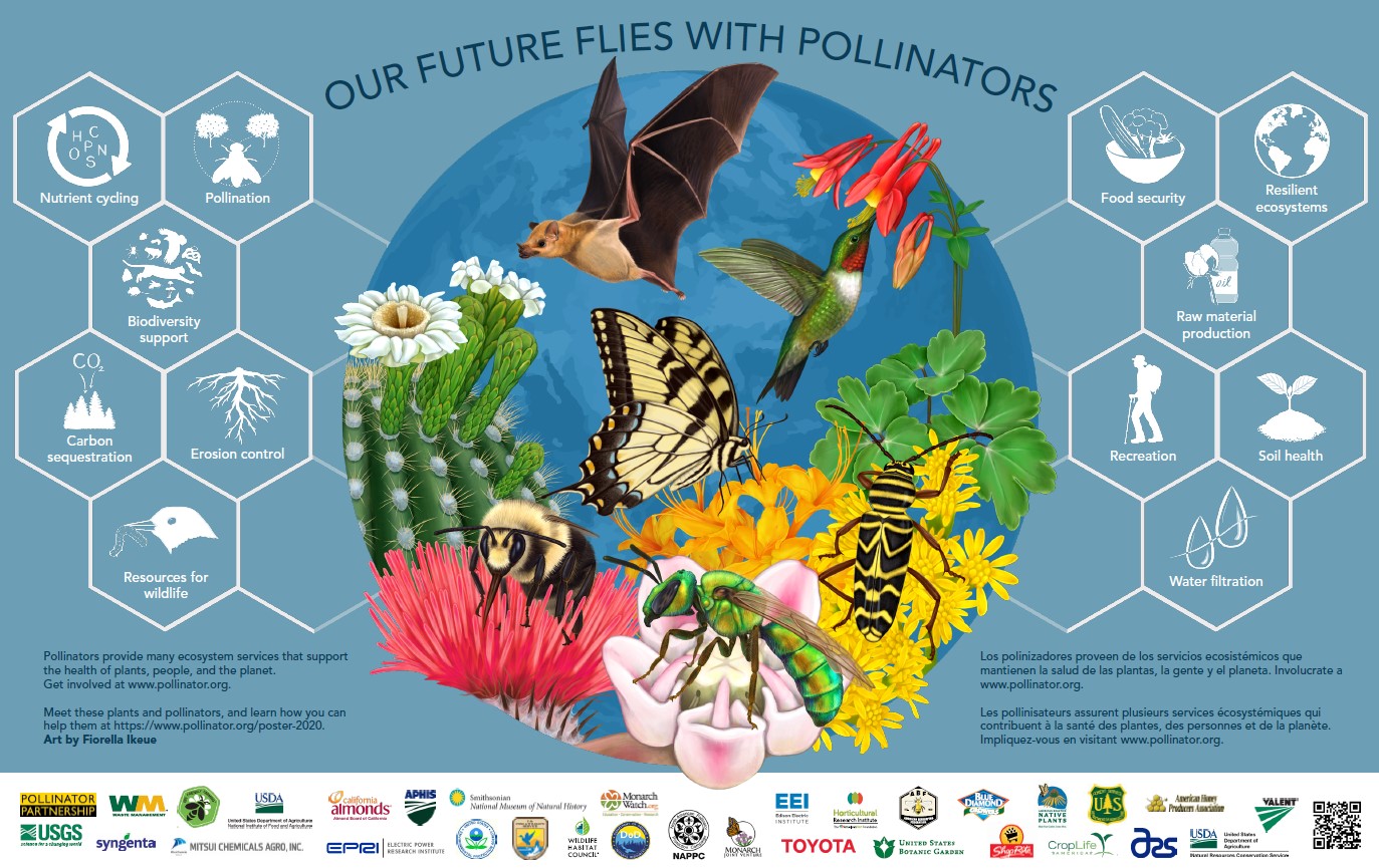 2020 Pollinator poster