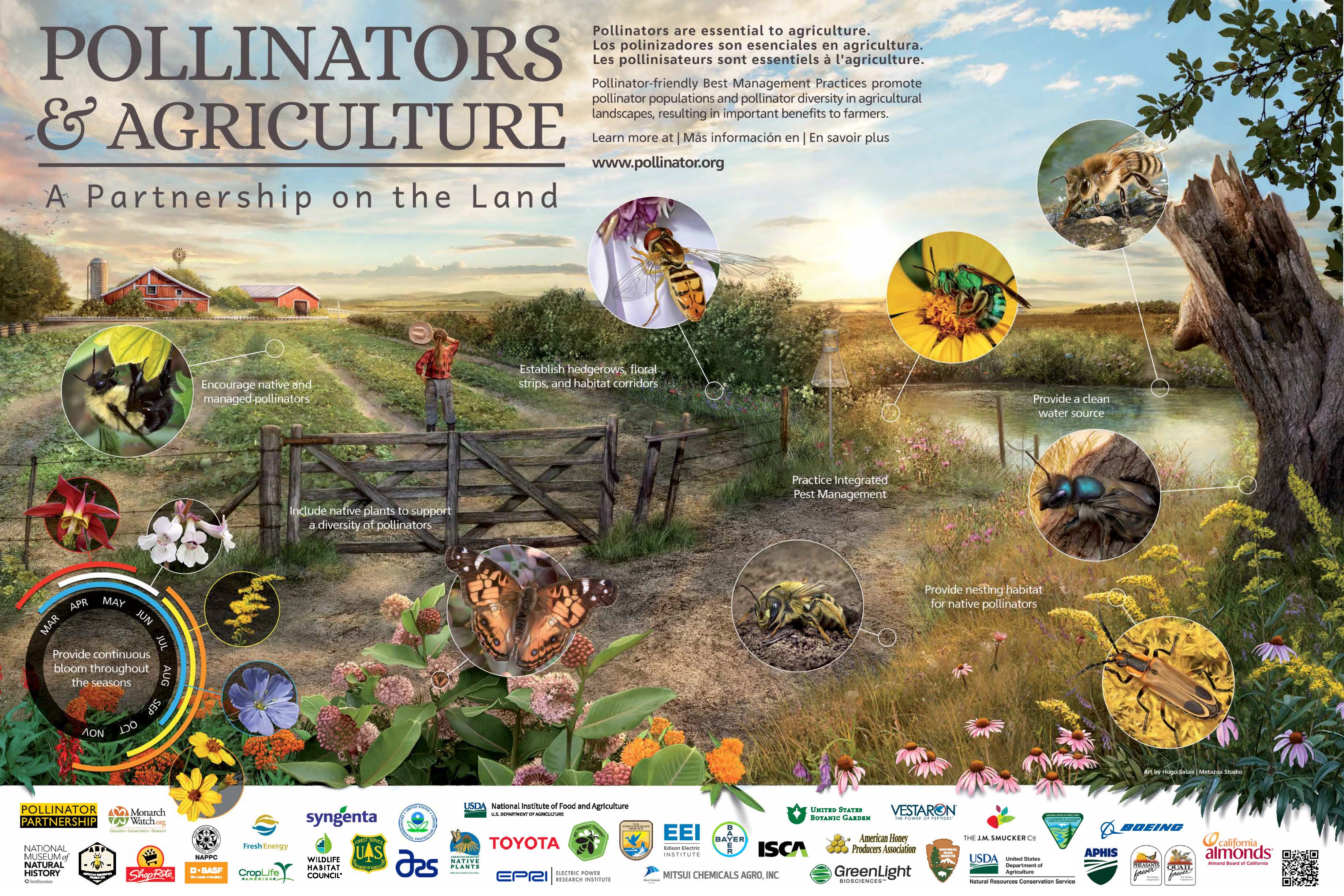 2021 Pollinator poster