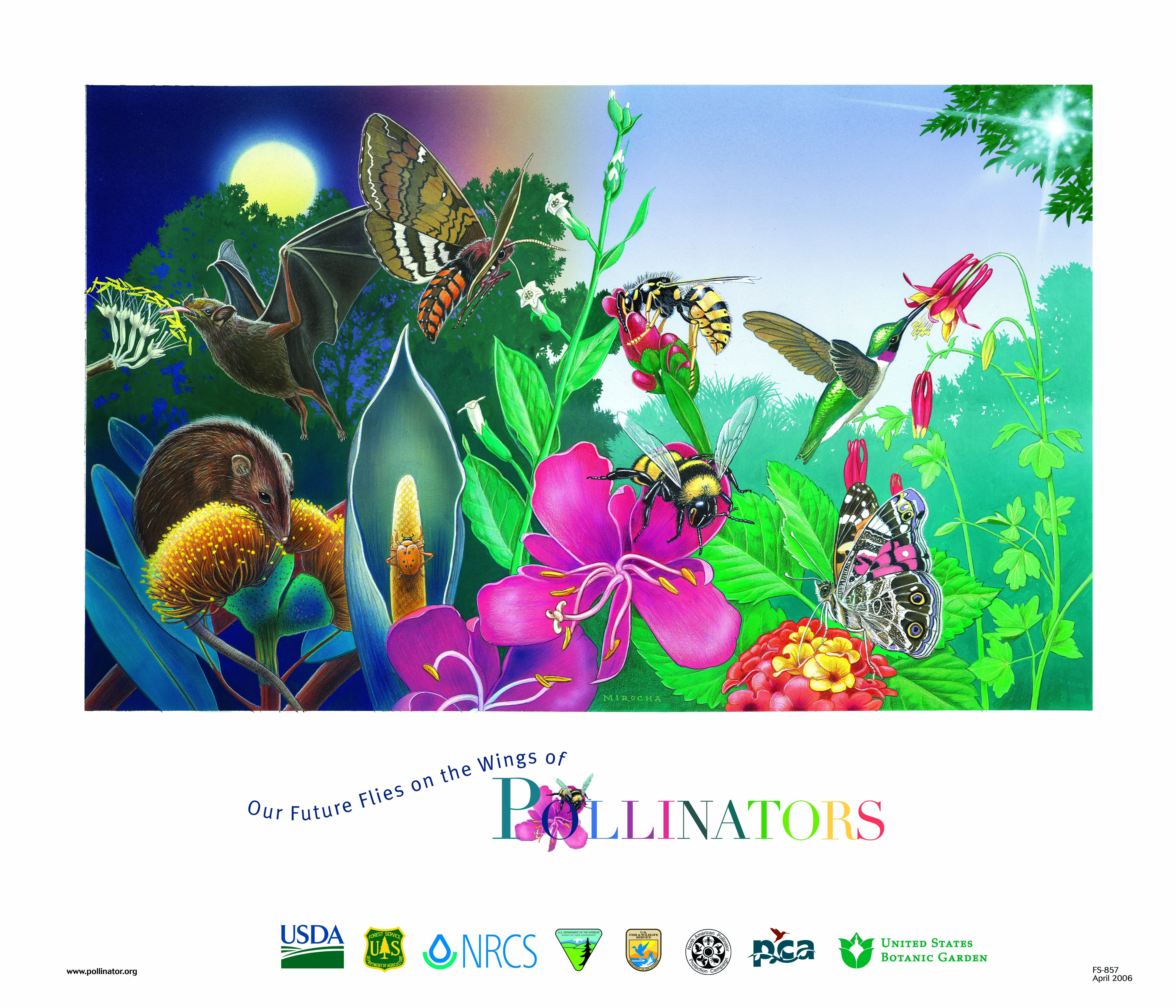 2006 Pollinator poster
