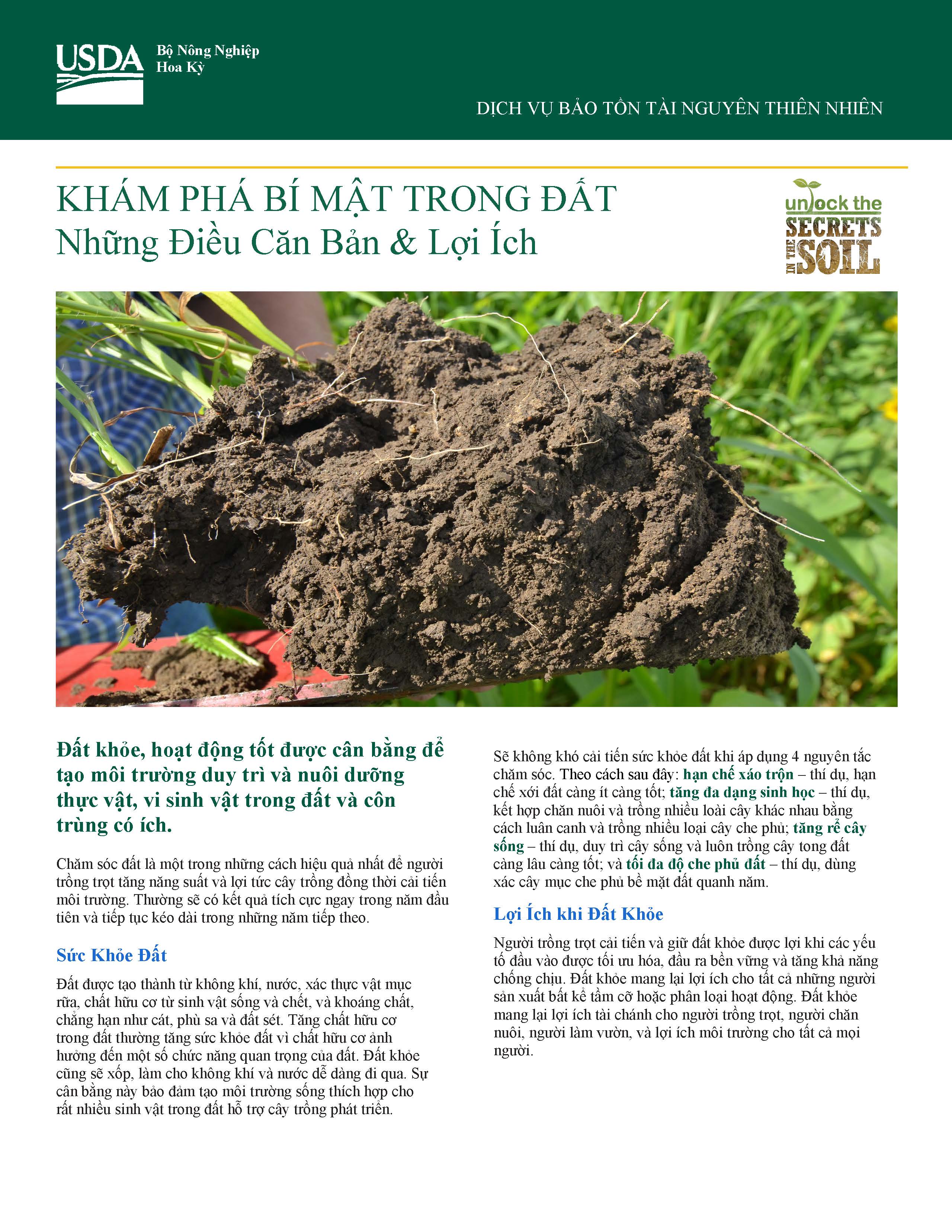 Vietnamese Basic and Benefits Soil Health fact sheet