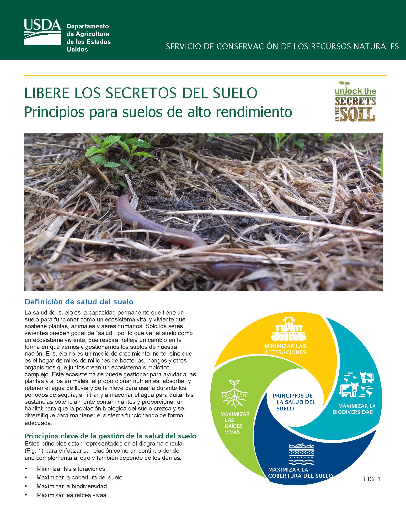 Spanish Soil Health Principles for High Functioning Soils fact sheet