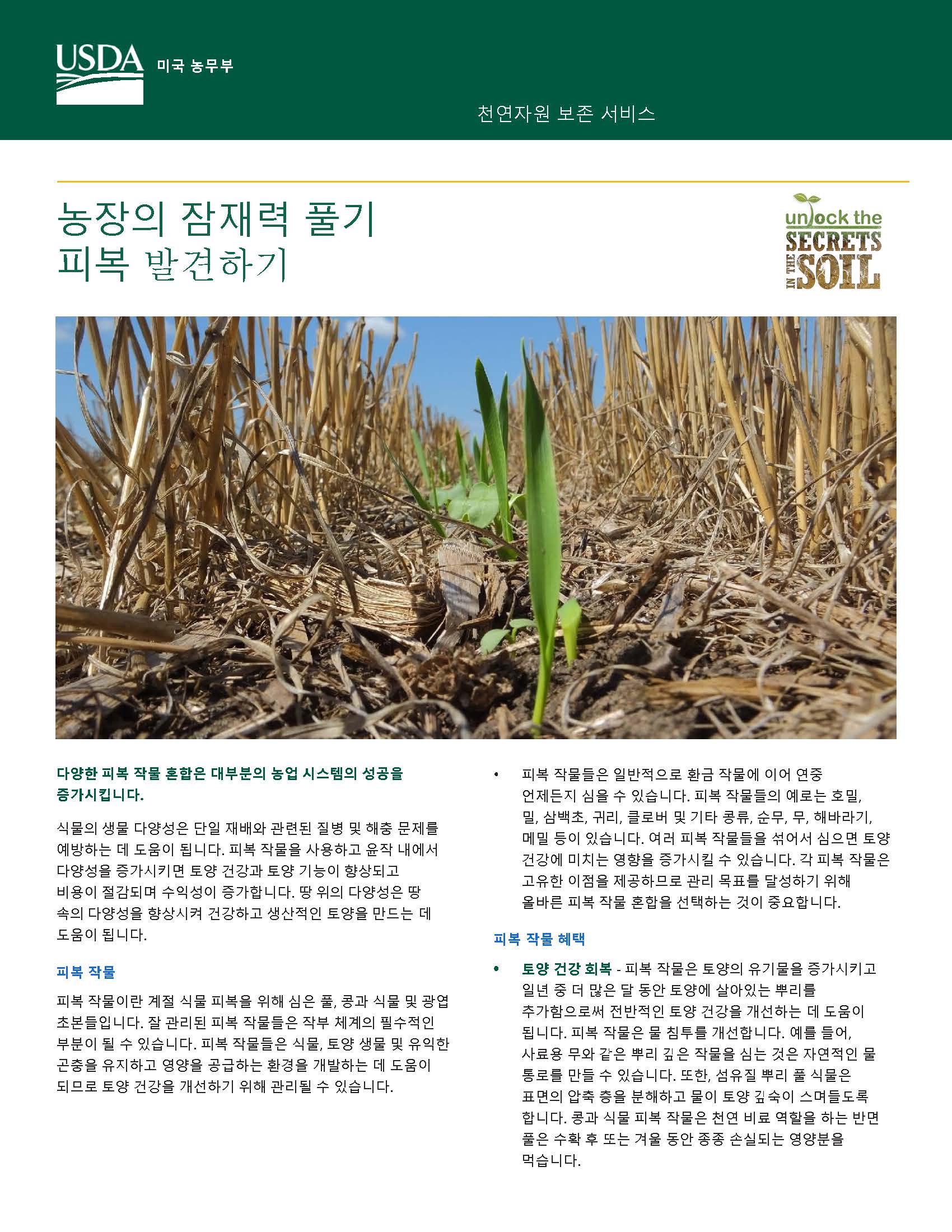Korean Soil Health-Unlock Your Farm