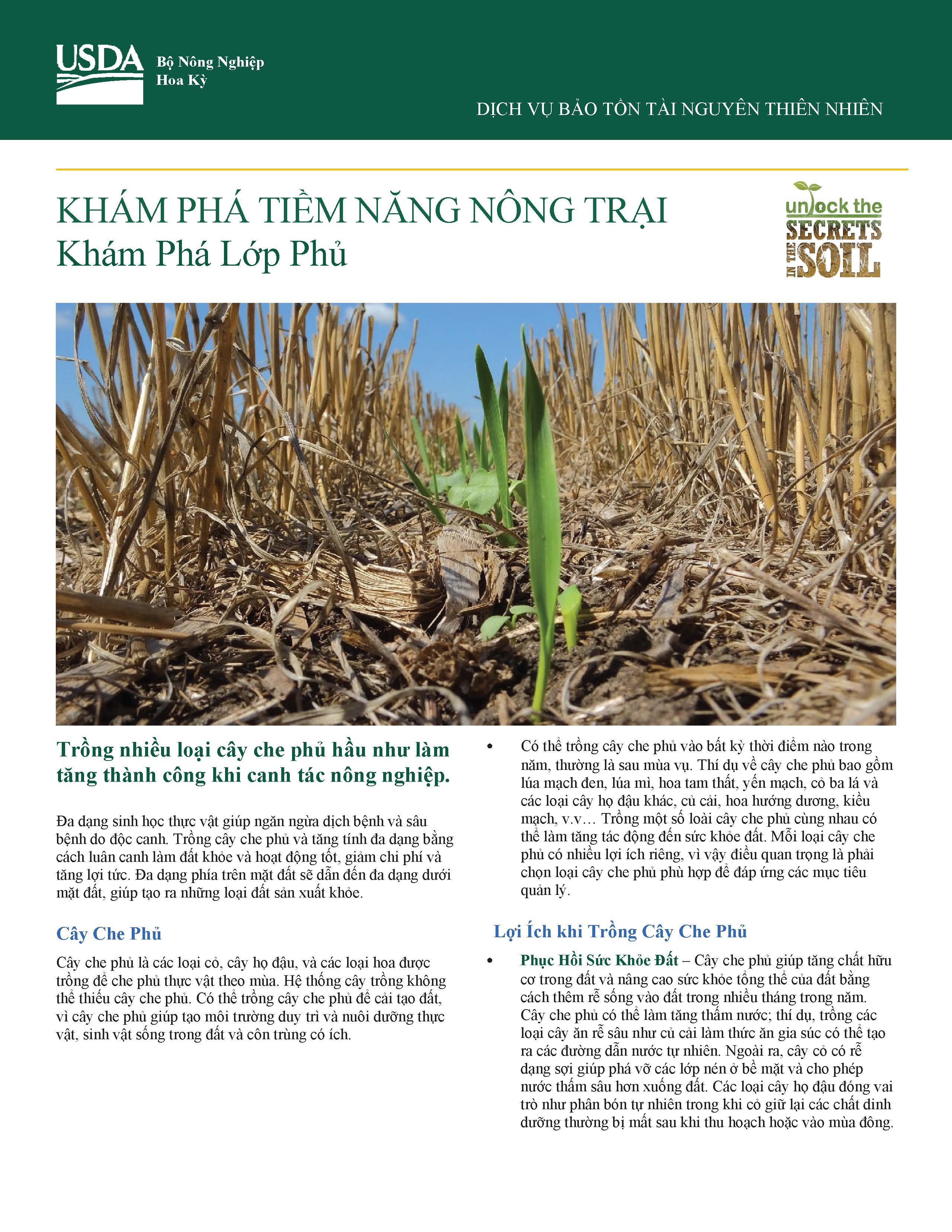 Vietnamese Soil Health-Unlock Your Farm