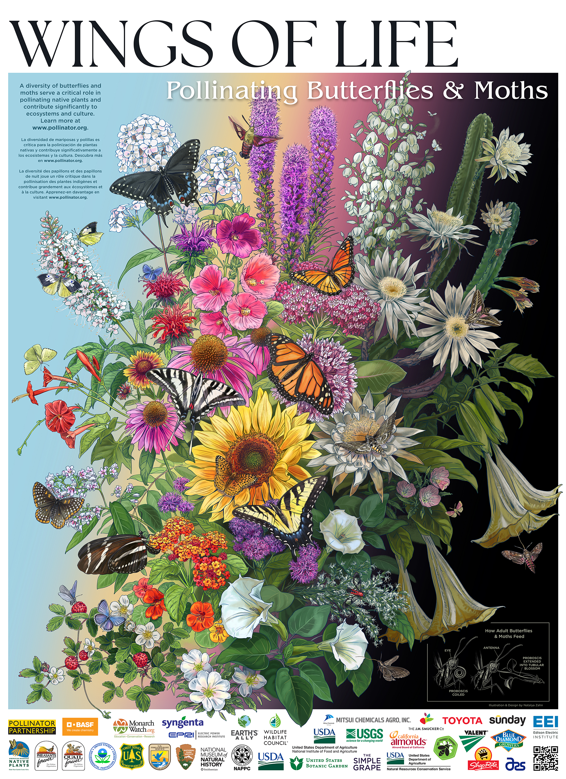 2022 Pollinator poster