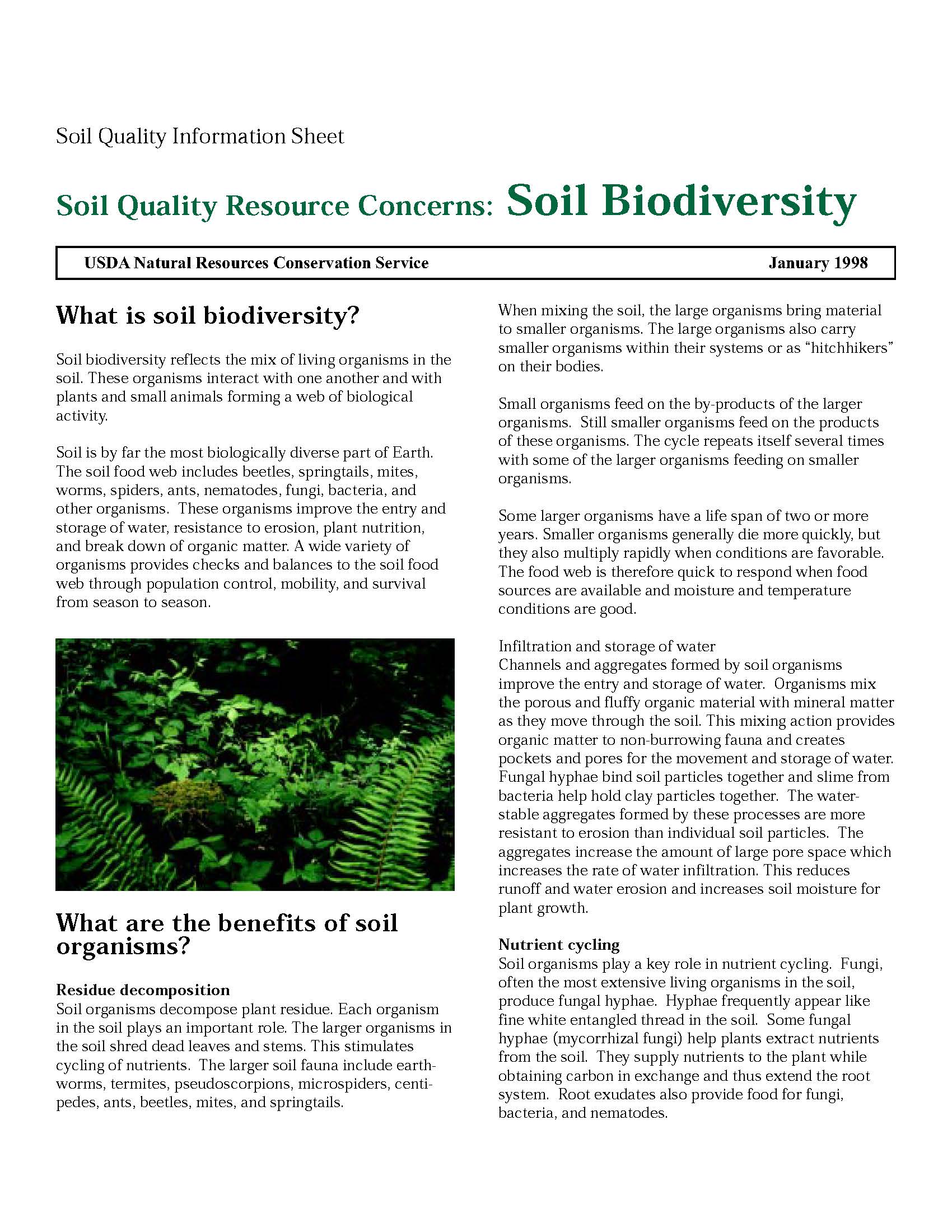 SQ-Resource Concerns-Soil Biodiversity