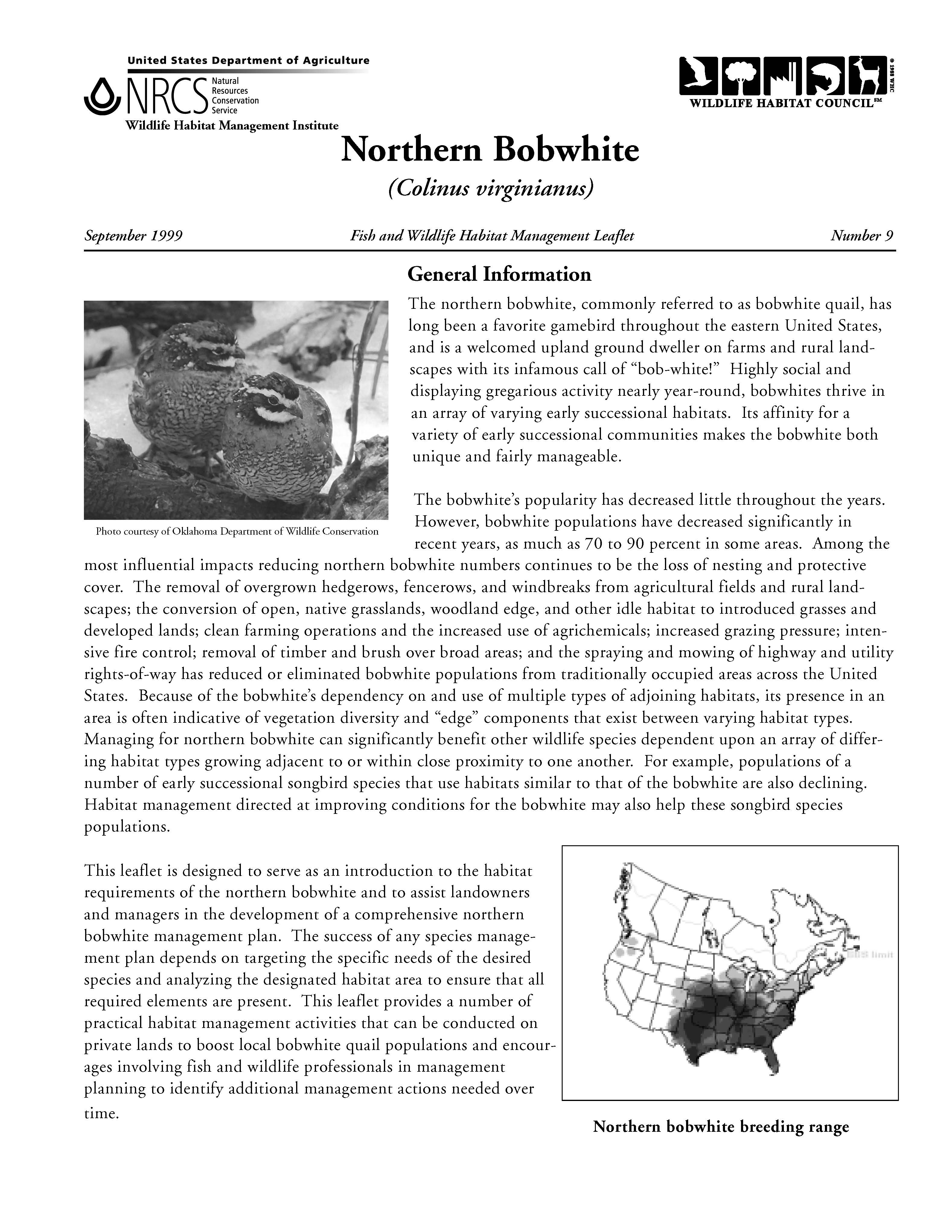 Northern Bobwhite Quail brochure