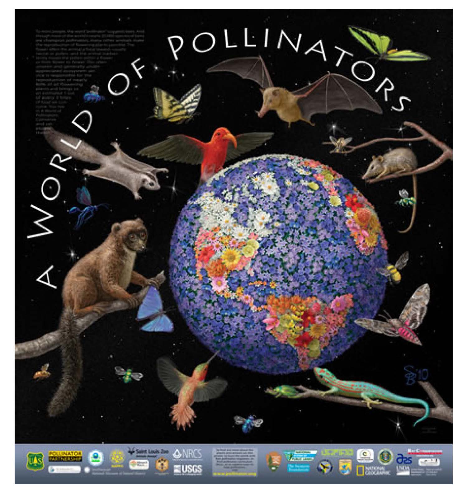 2010 Pollinator poster