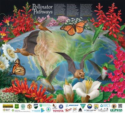 2012 Pollinator poster