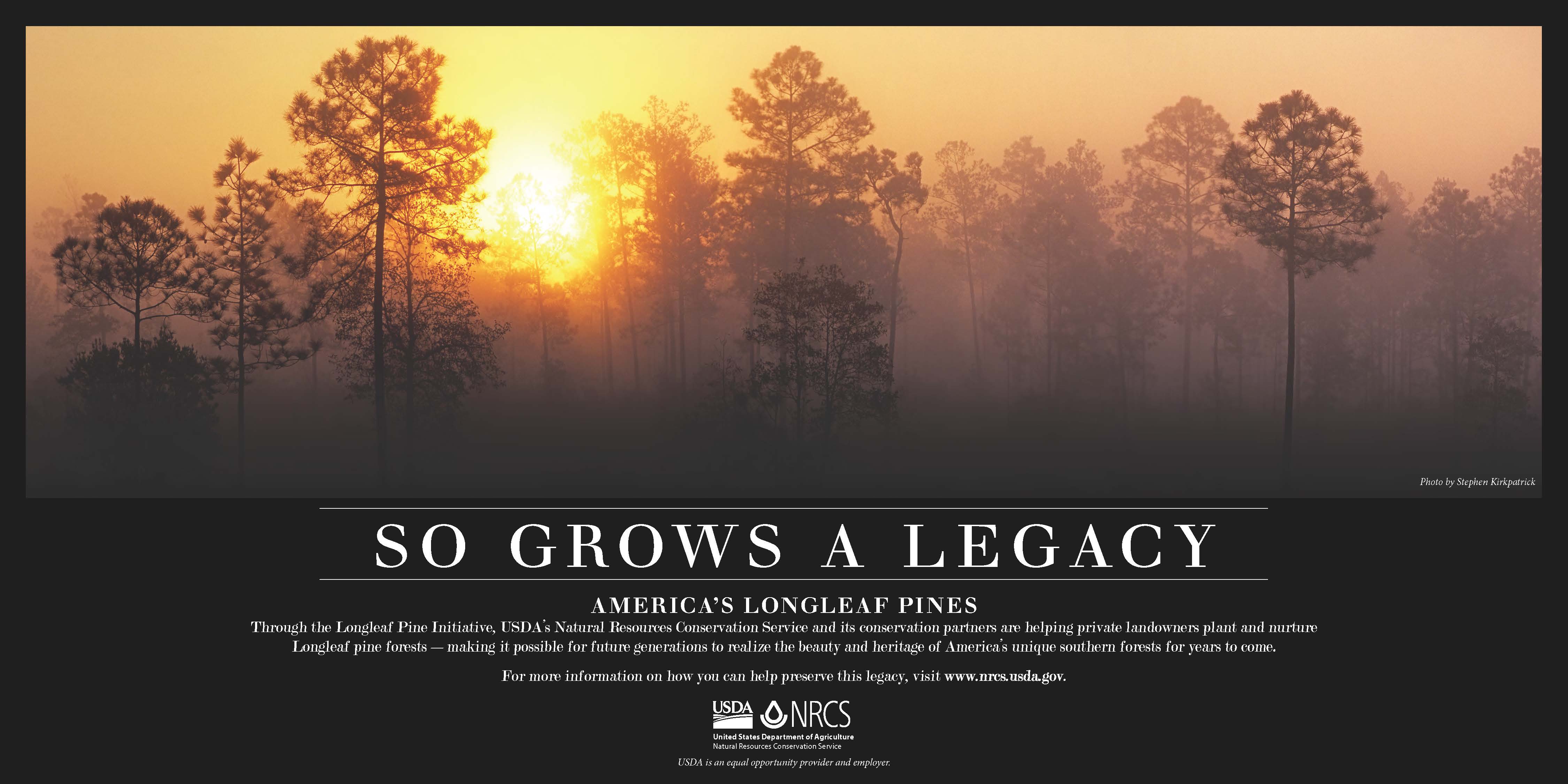 Longleaf Pine Initiative poster