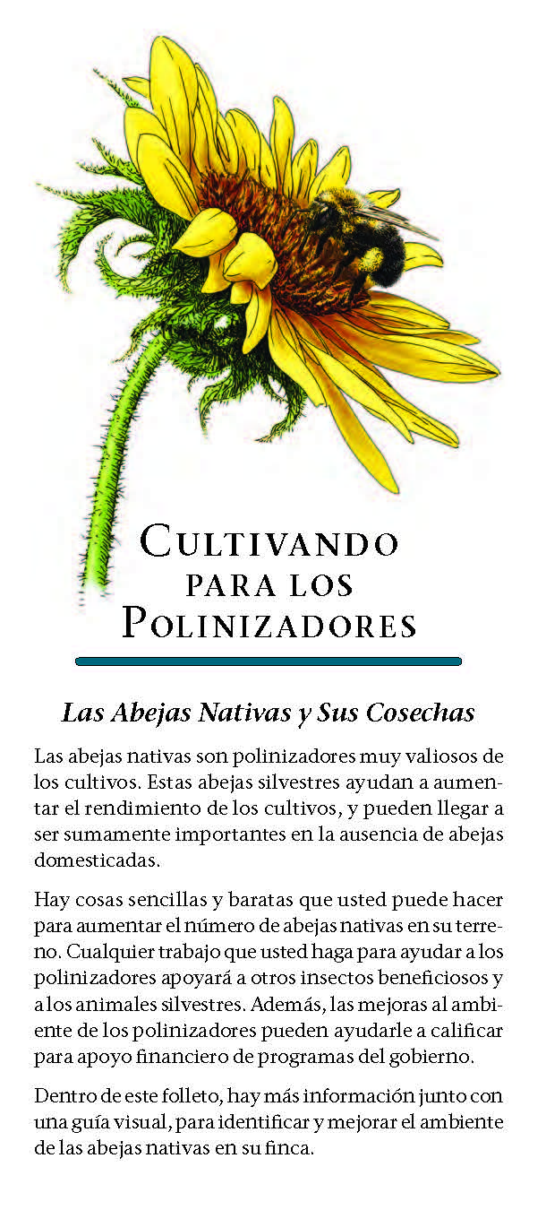 Spanish Farming for Pollinators