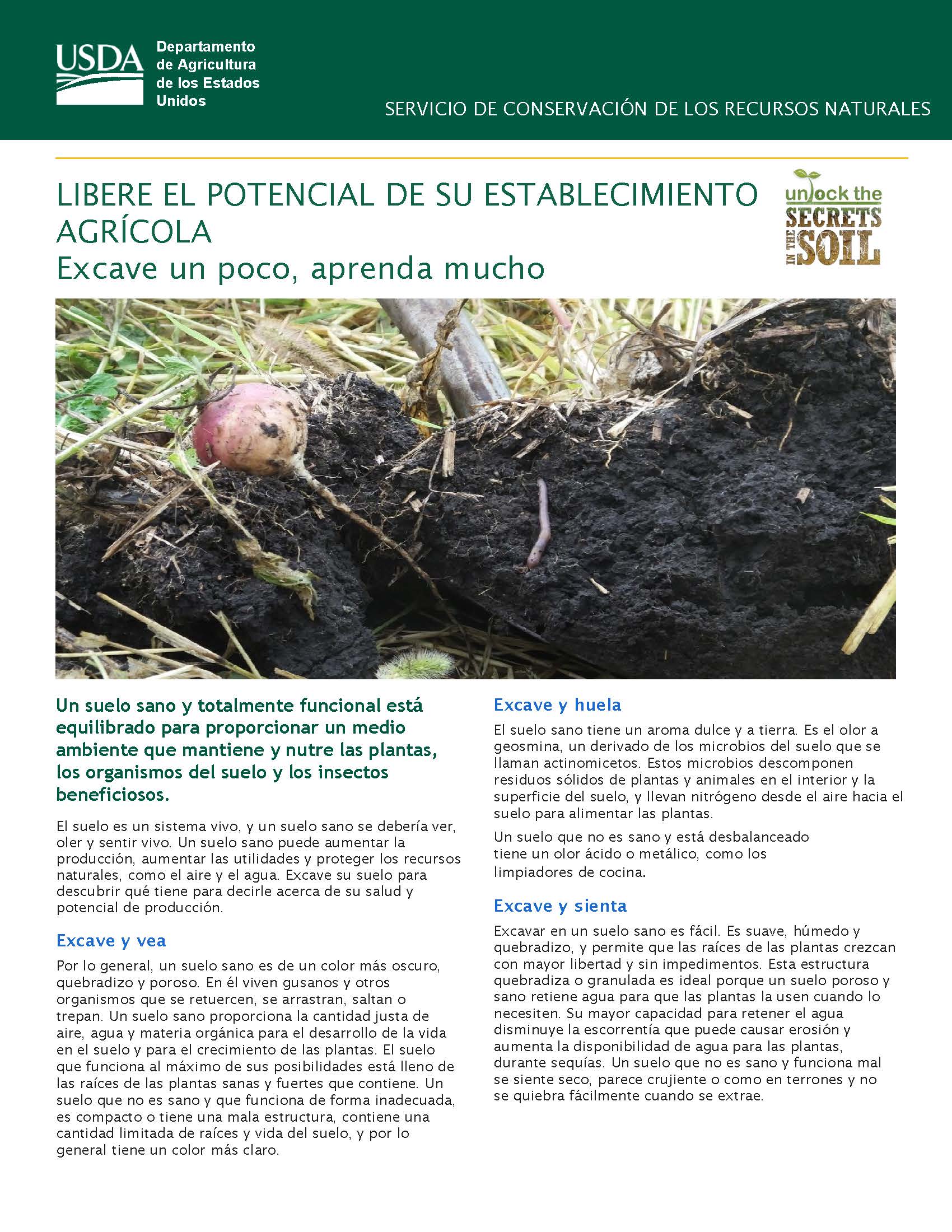 Spanish Soil Health-Unlock Your Farm